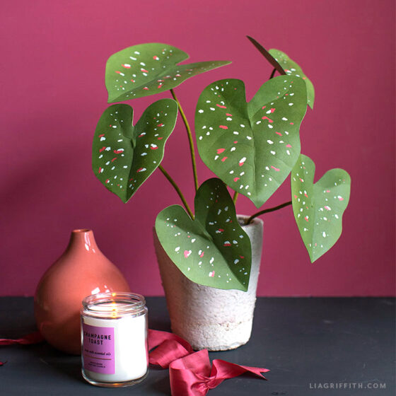 Paper Cactus and Grasses - Delineate Your Dwelling